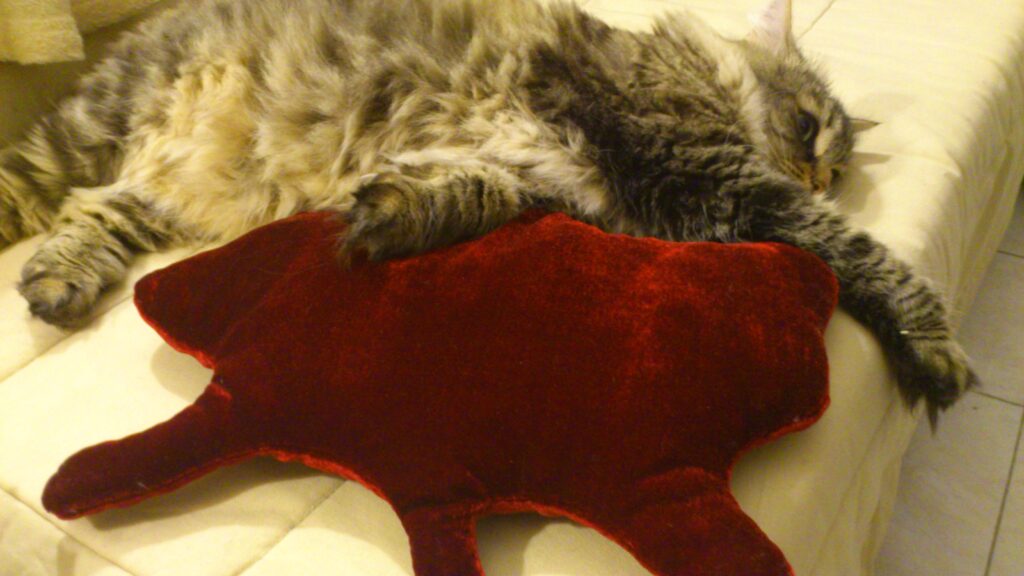 Coussin en forme de tache de sang surmonté d'un gros chat étalé, ce qui donne une impression étrange et tragique à l'ensemble.